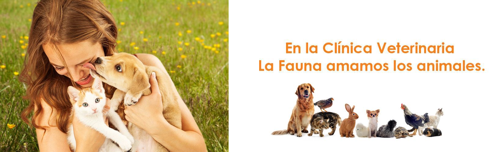 Clínica Veterinaria La Fauna banner 1