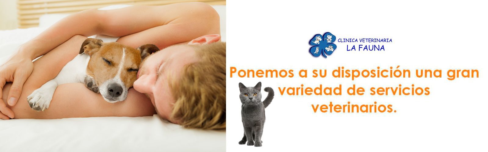 Clínica Veterinaria La Fauna banner 3
